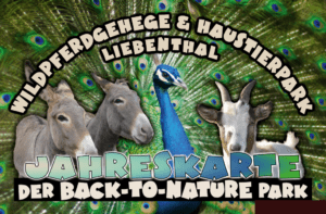 Wildpferdgehege Haustierpark Liebenthal Jahreskarte